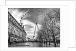 Millennium Wheel in London by Assaf Frank